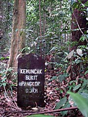 Bukit Pangkor