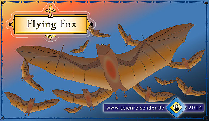 Sketch of a Flying Fox / Megabat / Fruitbat by Asienreisender