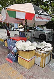 A Souvenir Stall selling Corals in Sihanoukville by Asienreisender
