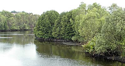 Mangrove Forests around Sihanoukville City by Asienreisender