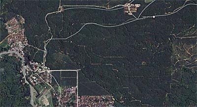 'Oil Plantations around Bukit Lawang' Google Maps
