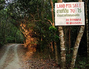 'Land for Sale in Khao Sok' by Asienreisender