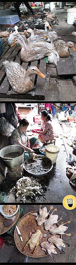 'Geeze Butchering on Kampot's Market' by Asienreisender