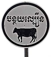 'Traffic Sign with Cow' by Asienreisender