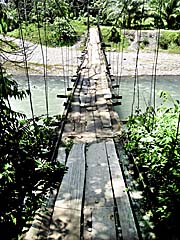'A Suspension Bridge over the Bohorok River' by Asienreisender