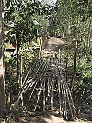 A Bamboo Bridge by Asienreisender