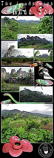 Thumbnail 'Photocomposition Khao Sok National Park / Thailand' by Asienreisender
