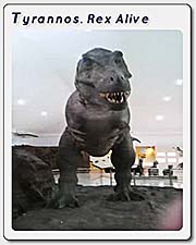 Thumbnail 'Tyrannosaurus Rex' by Asienreisender