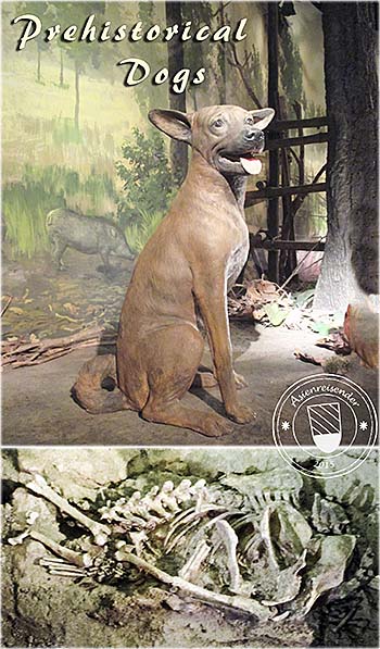'Prehistorical Dogs in Southeast Asia' by Asienreisender