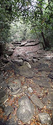 A Mountain Creek' by Asienreisender