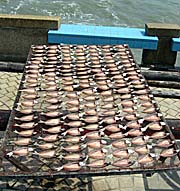 'Fish, Layed Out in the Sun for Drying' by Asienreisender