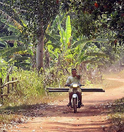 'A Wood Robber on a Motorbike' by Asienreisender
