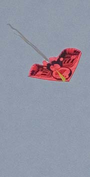 'A Kite' by Asienreisender