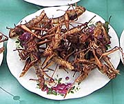 'Grasshoppers on a Food Market' by Asienreisender