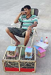 'Salesman for Temple Sparrows' by Asienreisender