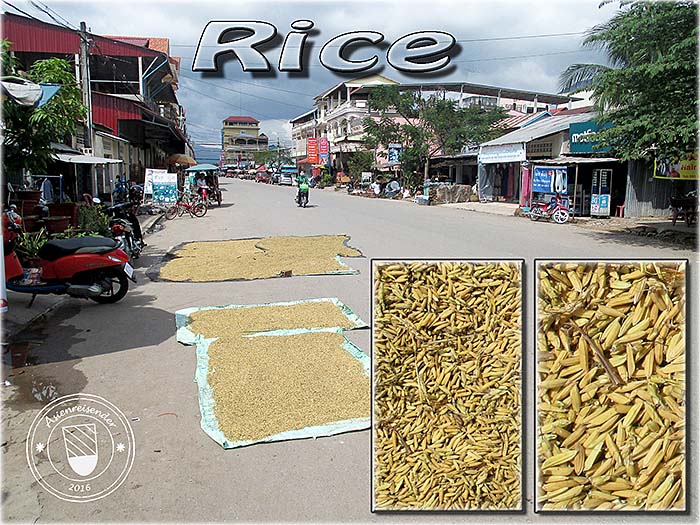 'Rice Grains, Layed out in the Sun on an Open Road' by Asienreisender