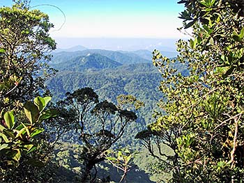 'Tropical Rainforest | Cameron Highlands | Malaysia' by Asienreisender