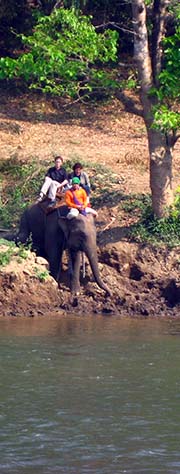'Elephant Crossing Klong Nam River in Umphang' by Asienreisender